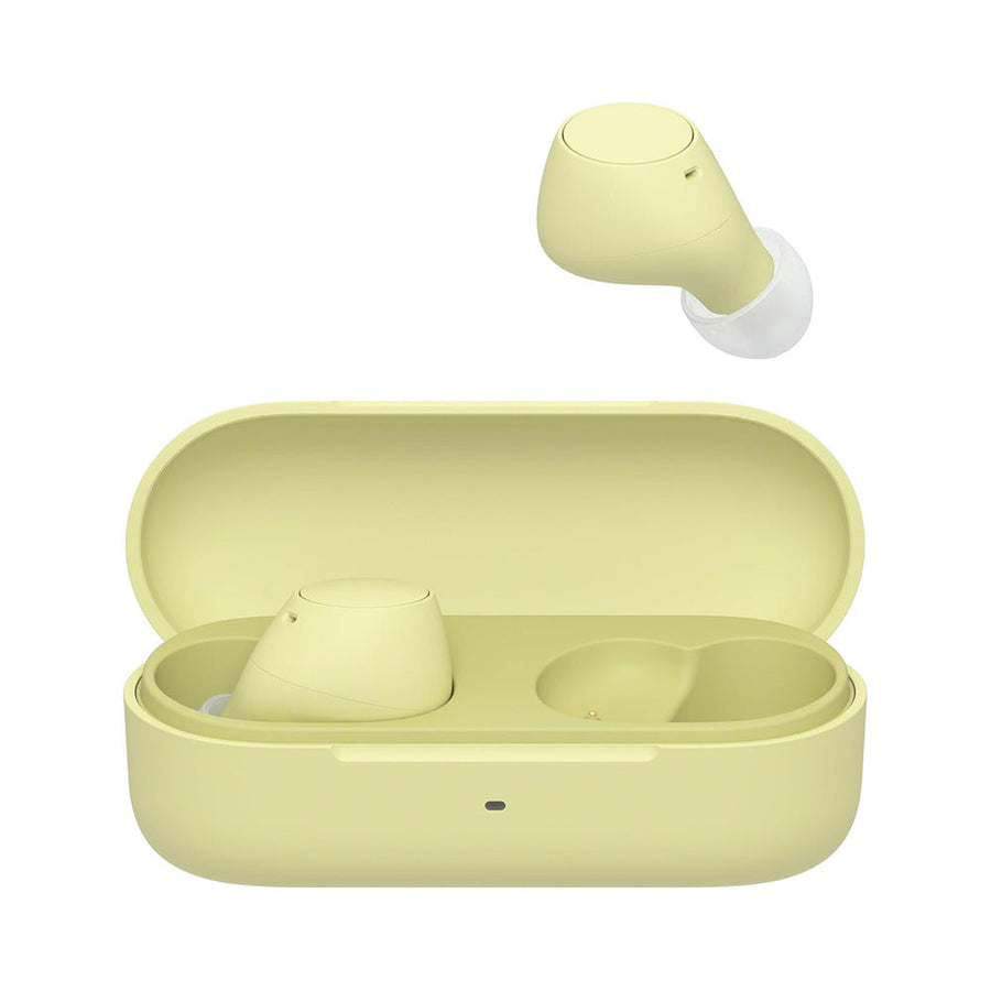Sony WF-C510 True Wireless Earbuds